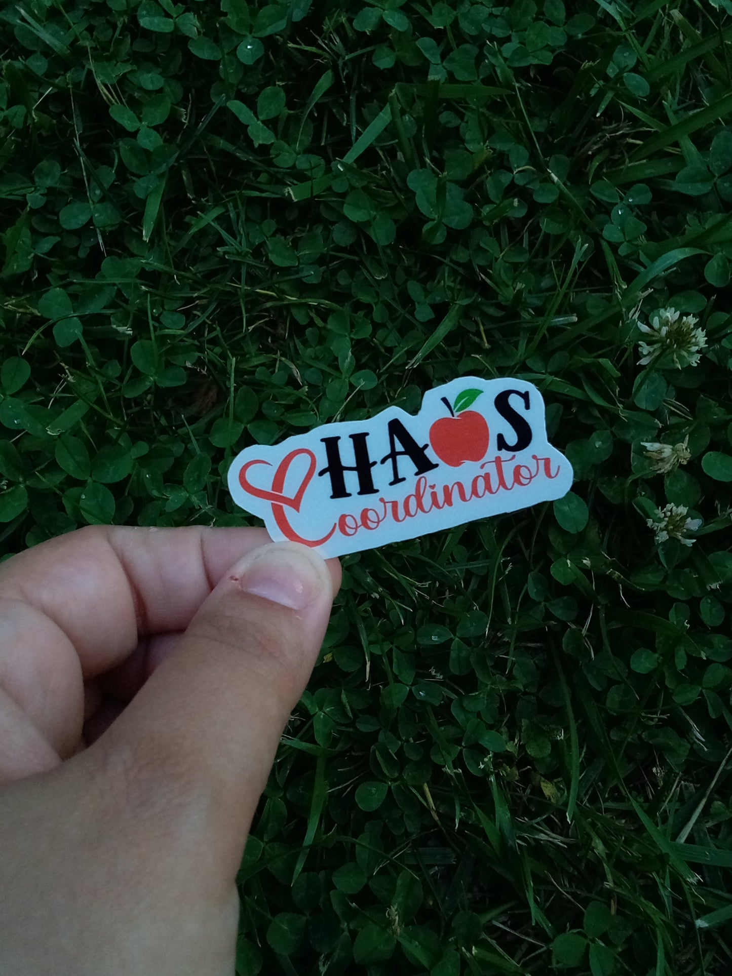 Teacher Vinyl Stickers