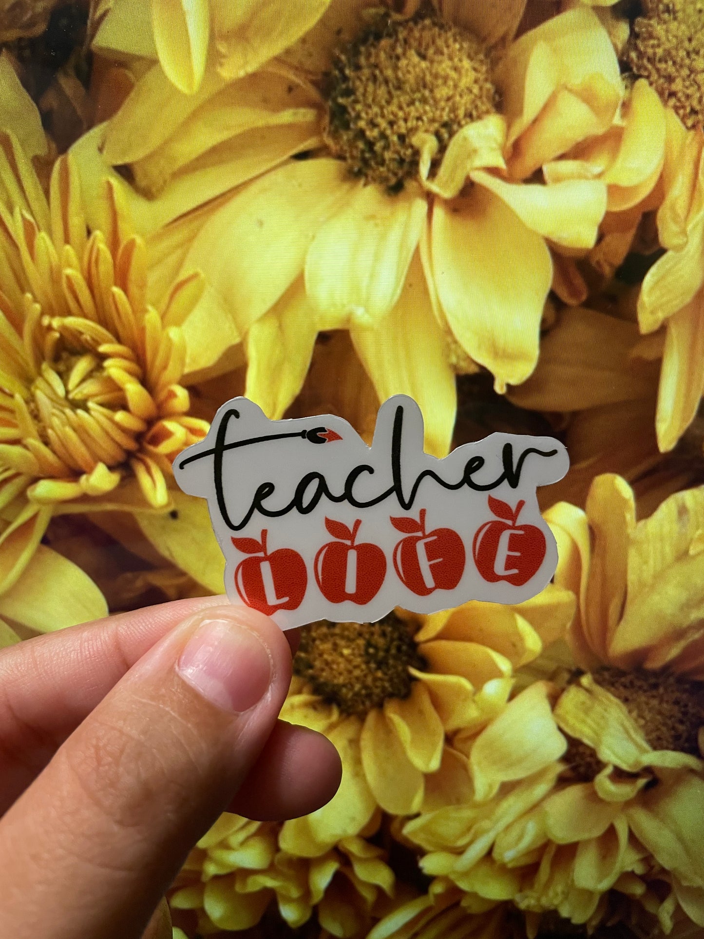 Teacher Vinyl Stickers